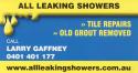 All Leaking Showers Repaired, Tile Repairs & Re-Grouting East Brisbane