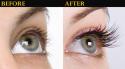 Poly XiTe Lashes