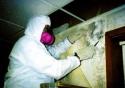C.J Jass Pty Ltd - Mould Removal Brisbane
