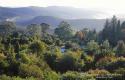 Mount Tomah Botanic Garden