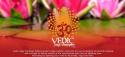 Vedic Yoga Therapies - Yoga, Ayurveda & Reiki Therapies & Courses North Brisbane