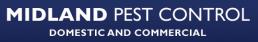 termite control south perth