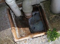 blocked drains ashfield